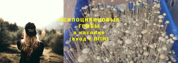 индика Богородицк