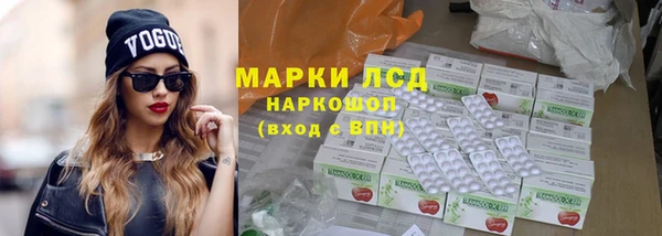 индика Богородицк
