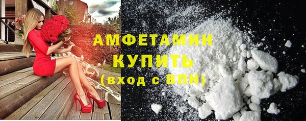 индика Богородицк