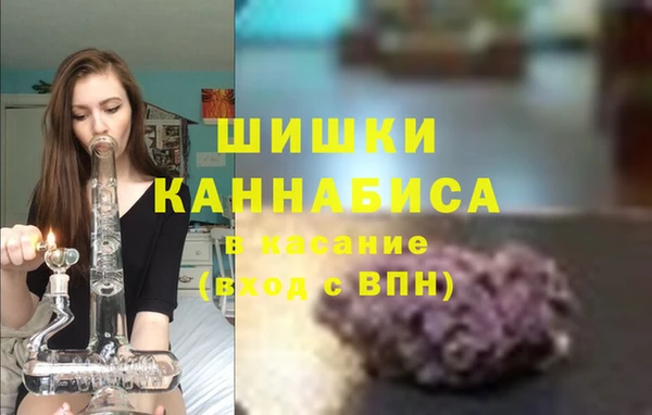 эйфоретик Богородск
