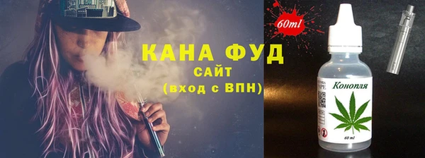 индика Богородицк