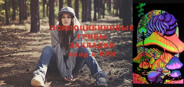 PSILOCYBIN Богданович