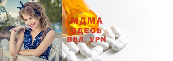 индика Богородицк
