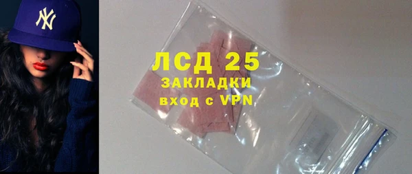 индика Богородицк