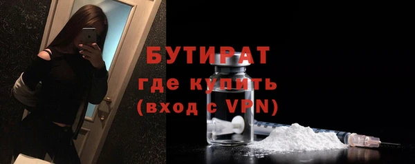 индика Богородицк