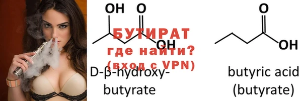 индика Богородицк
