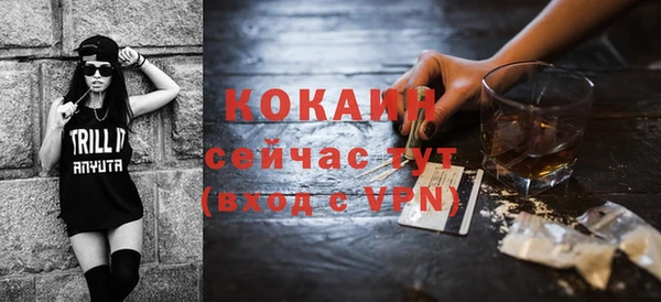 индика Богородицк