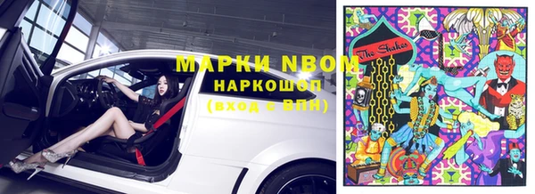 индика Богородицк