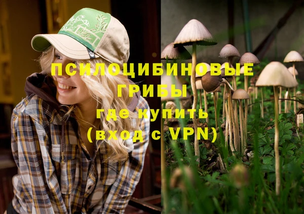индика Богородицк