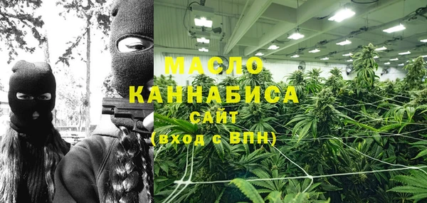 индика Богородицк