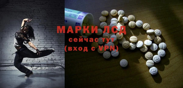 PSILOCYBIN Богданович