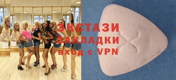 индика Богородицк