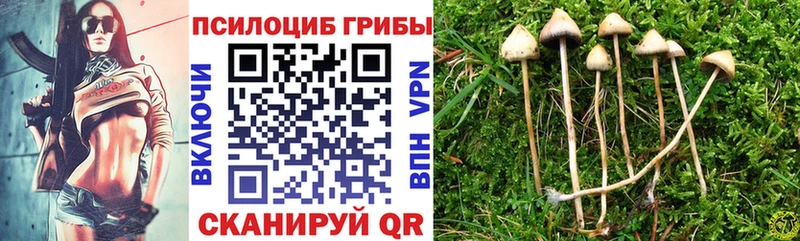 Псилоцибиновые грибы GOLDEN TEACHER  Нижний Тагил 